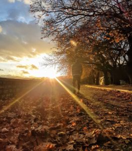 Some paths are meant to be walked alone.. 🙏🏼 _
#autumnvibes #discovering #paths #trusttheprocess